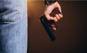 Нетрезвые разборки: трое мужчин устроили драку и стрельбу у выборгского кафе "Красная поляна"