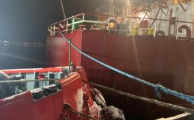 Фото: буксир навалился на судно в порту Усть-Луга в Ленобласти