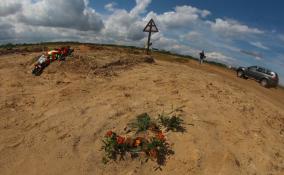 В Ленобласти поддержат грантами увековечение памяти героев Великой Отечественной войны