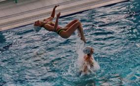 70% жителей Ленобласти планируют научить базовым навыками плаванья к 2030 году