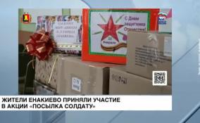 Жители Енакиево приняли участие в акции «Посылка солдату»