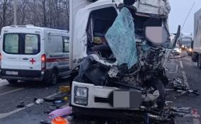 На Московском шоссе в Ленобласти столкнулись 6 машин