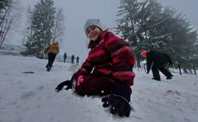 Жителей Ленобласти ожидает облачная погода и небольшой снег 24 февраля