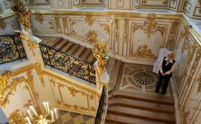 Посетительница Петергофского дворца угрожала пистолетом смотрителю музея