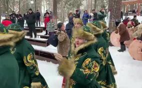 В Заречном парке Луги отпраздновали Масленицу с традиционными песнями и плясками