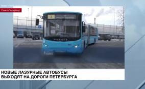 Новые лазурные автобусы выходят на дороги Петербурга