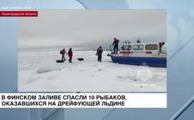 В Финском заливе спасли 10 рыбаков, оказавшихся на дрейфующей льдине