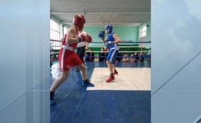 В Енакиево прошло первенство города по боксу среди юношей