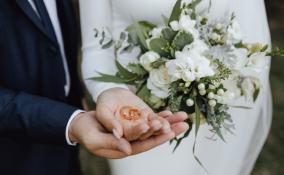 Почти две тысячи свадеб состоялись в Ленобласти зимой