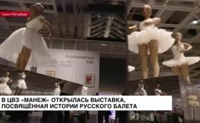 В ЦВЗ «Манеж» открылась выставка, посвященная истории русского балета