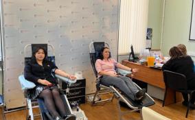 Сотрудники комитетов Ленобласти сдали кровь в рамках Дня донора