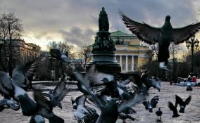 Плюсовая температура и мокрый снег: погода в Петербурге на 2 марта