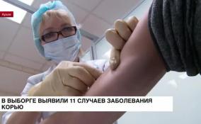 В Выборге выявили 11 случаев заболевания корью