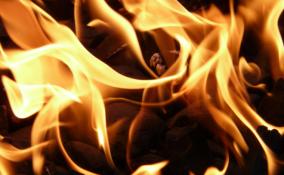 Субботним утром в Киришском районе тушили горящий дом с хозпостройками