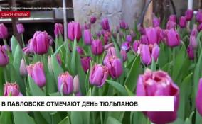 В Павловске отмечают день тюльпанов