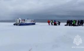 С оторвавшихся в Финском заливе льдин спасли свыше 80 рыбаков
