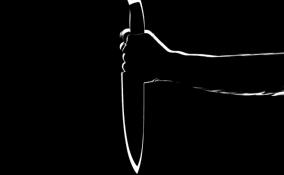 Житель Приморска смертельно ранил собутыльника ножом