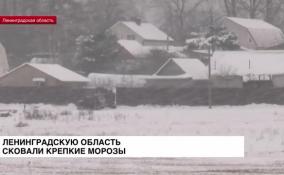 Обещанное похолодание уже в Ленинградской области