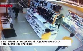 Петербургские полицейские задержали подозреваемого в грабеже