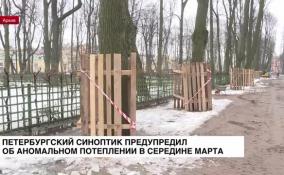Петербургский синоптик предупредил об аномальном потеплении в середине марта