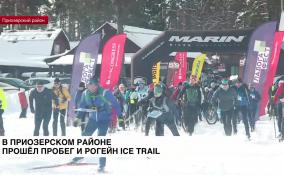 В Приозерском районе прошел пробег и рогейн Ice Trail