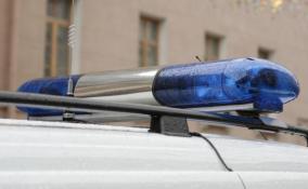 Тело школьника с огнестрельным ранением нашли в Новом Девяткино