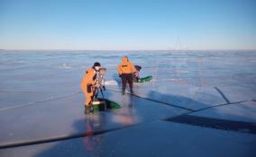 Двоих любителей рыбалки, оставшихся на отколовшейся льдине посреди Ладожского озера, выручали спасатели