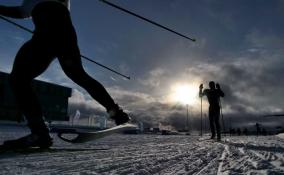 За зиму «Лыжные стрелы» перевезли более 23 тысяч любителей активного отдыха