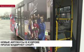 Новые автобусы в Кудрове пропагандируют спорт
