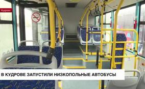 В Кудрове запустили низкопольные автобусы