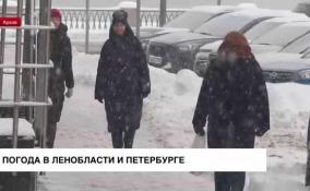22 марта погода не будет баловать жителей Ленобласти