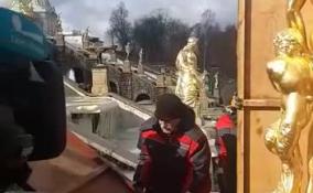 В Петергофе начали «раздевать» скульптуры после зимы