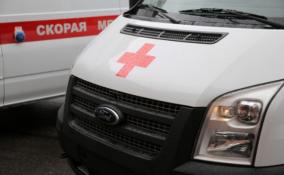 Девочка из Ленобласти, доставленная вертолетом в Петербург, умерла спустя месяц после ДТП
