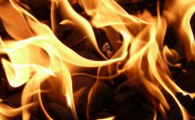 Во Всеволожском районе пожарные боролись с огнем на 150 "квадратах"