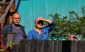 Садоводы из Всеволожского района пожаловались Бастрыкину на противоправные действия председателя СНТ