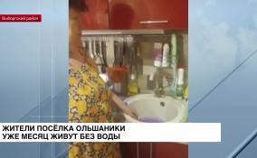 Жители поселка Ольшаники уже месяц живут без воды