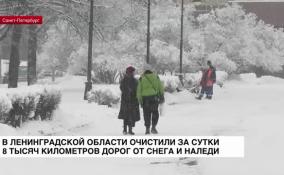 В Ленобласти за сутки очистили от снега и наледи 8 000 км дорог