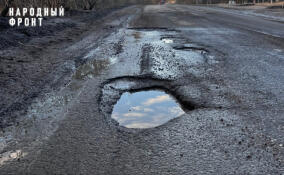 Жители Вистино пожаловались на разбитую дорогу из Соснового Бора в Усть-Лугу