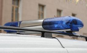 В Ушаках водитель на "Ладе" не поделил парковочное место с пенсионером и обстрелял его из газового пистолета