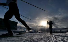 Ленобласть впервые примет финал Кубка России по горнолыжному спорту