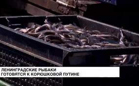 Ленинградские рыбаки готовятся к корюшковой путине