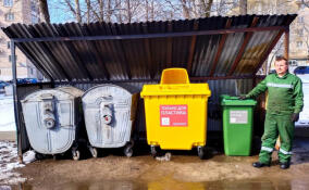 На 20-ти контейнерных площадках в Киришах установили баки для раздельного сбора мусора