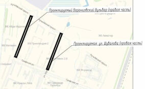 В Мурино за 162 млн рублей закатают в асфальт две брошенные застройщиками дороги