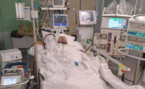Как в Боткинской больнице спасли пациента, которого едва не убил грипп