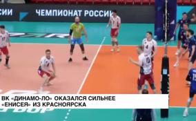 Волейболисты «Динамо-ЛО» оказались сильнее соперников из красноярского «Енисея»