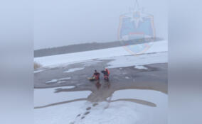 Собаку, оказавшуюся на тонком льду посреди реки Свирь, выручили спасатели