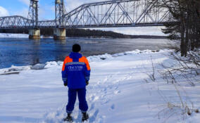 Спасатели Ленобласти оценили состояние рек Нева, Тосна, Мойка, Мга и Свирь