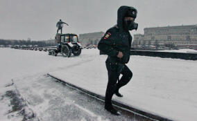 Мокрый снег и гололедица ожидаются в Петербурге 3 апреля