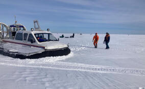 Спасатели Ленобласти эвакуировали 5 рыбаков с оторвавшейся льдины на Ладожском озере