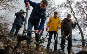 Свыше 2 тысяч парков, набережных и памятников приведут в порядок в Ленобласти